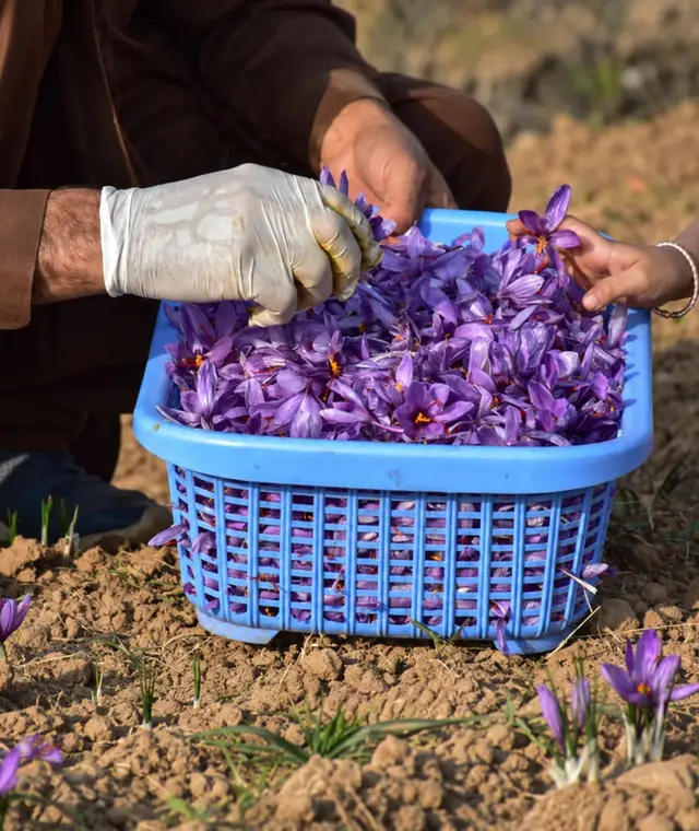 Flowers picked by hand